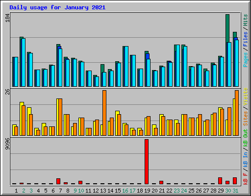 Daily usage for January 2021