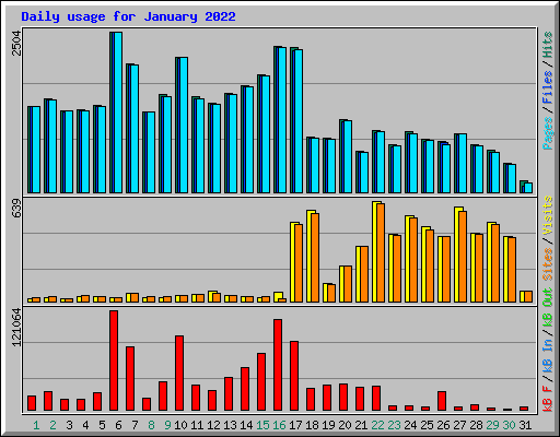 Daily usage for January 2022