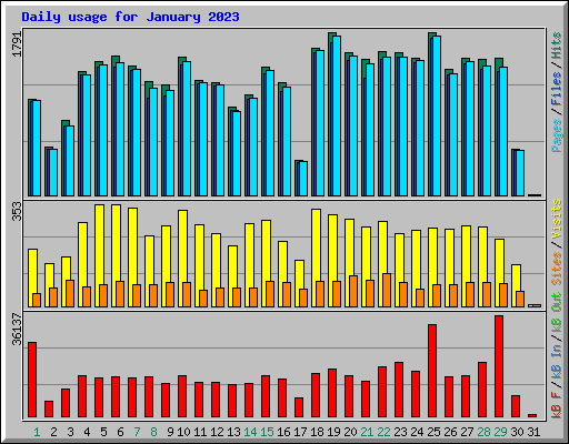 Daily usage for January 2023