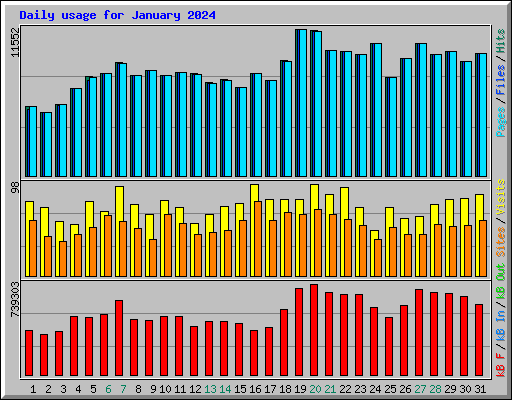 Daily usage for January 2024