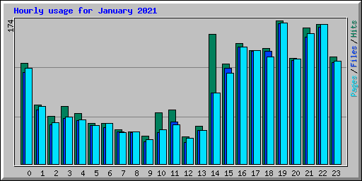 Hourly usage for January 2021