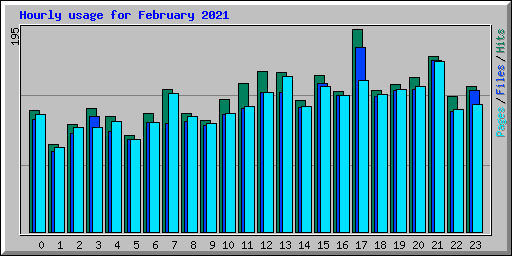 Hourly usage for February 2021