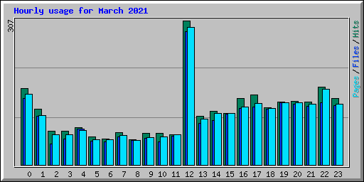 Hourly usage for March 2021