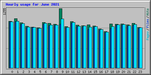 Hourly usage for June 2021