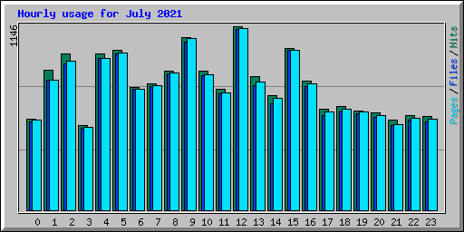 Hourly usage for July 2021