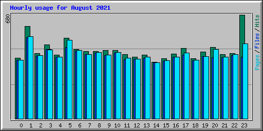 Hourly usage for August 2021