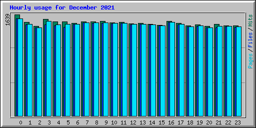 Hourly usage for December 2021