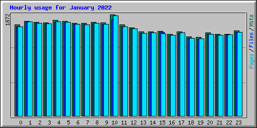 Hourly usage for January 2022