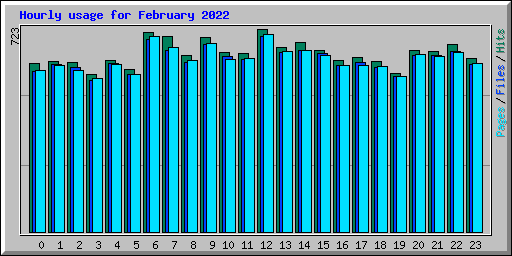 Hourly usage for February 2022