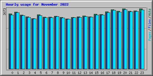 Hourly usage for November 2022