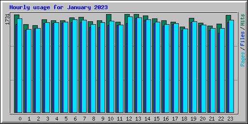 Hourly usage for January 2023