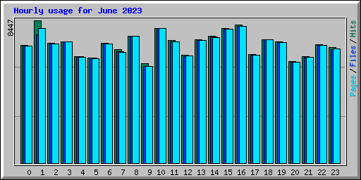 Hourly usage for June 2023