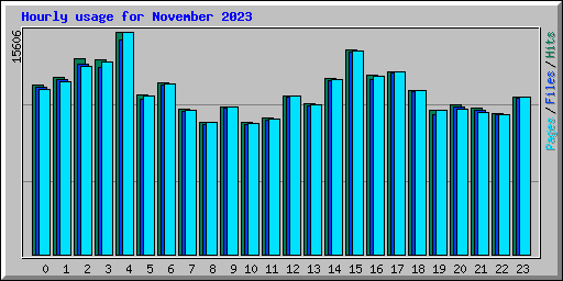 Hourly usage for November 2023