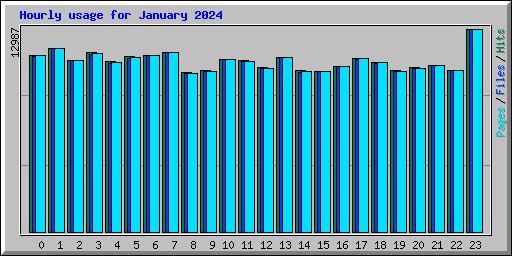 Hourly usage for January 2024