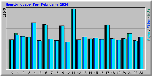 Hourly usage for February 2024