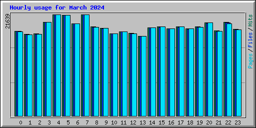 Hourly usage for March 2024