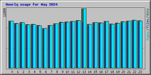 Hourly usage for May 2024