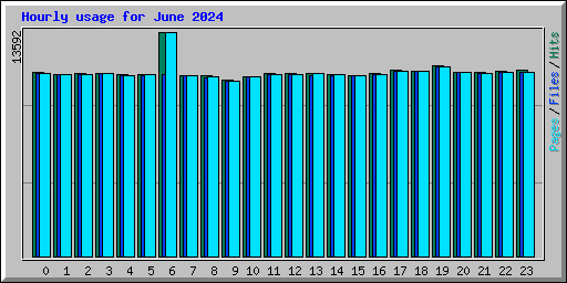 Hourly usage for June 2024