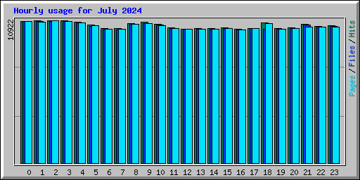 Hourly usage for July 2024